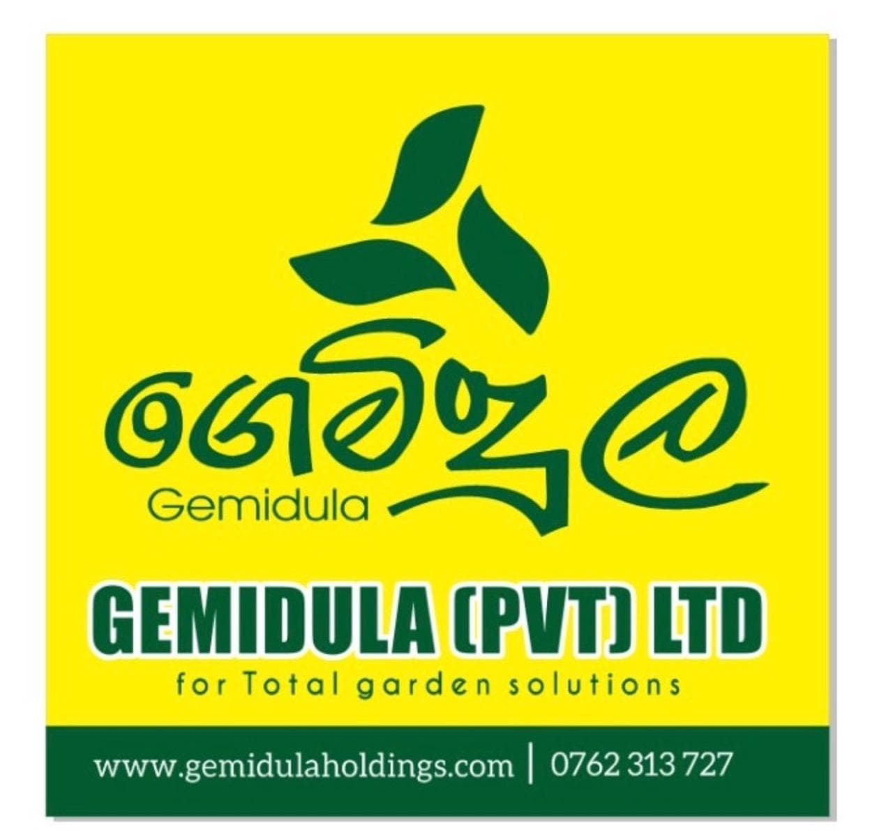 Render of Gemidula Green Residences development